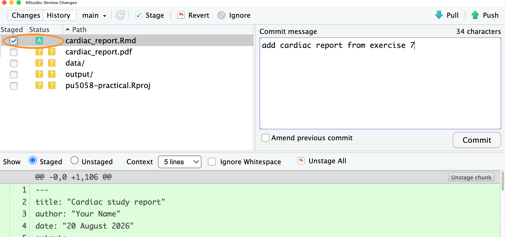 The commit window with one file staged, a message typed and the diff below