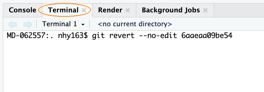 The RStudio Terminal tab with the git revert command typed in