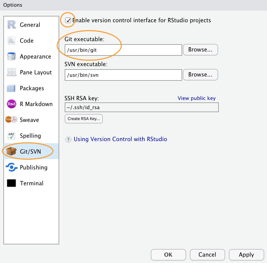 The Git/SVN pane of Global Options. The tick box and the Git executable path are the two things to check.