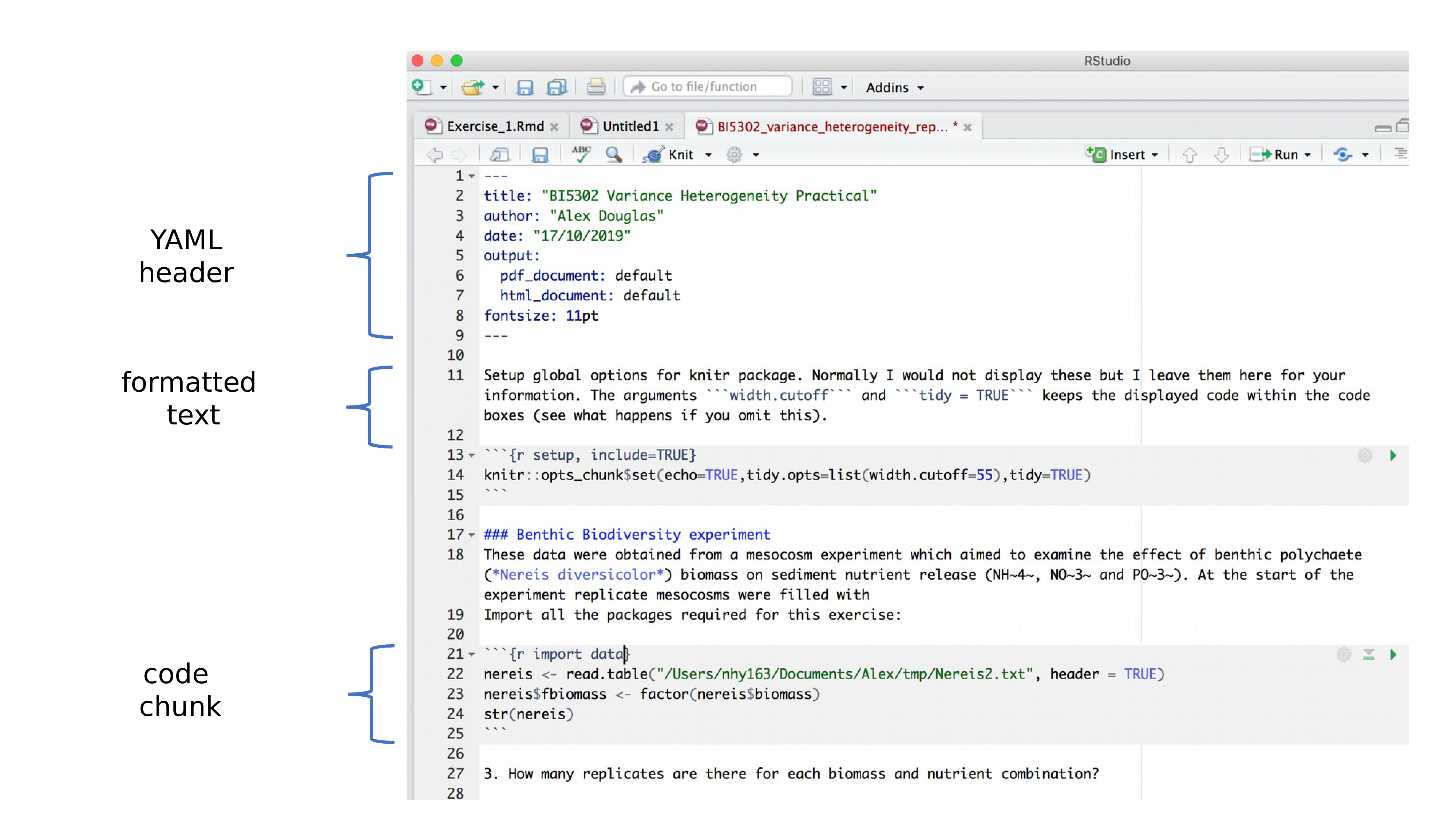 rmarkdown rstudio